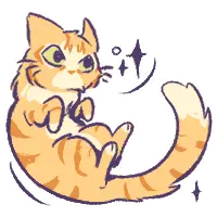 orange fluffy cat