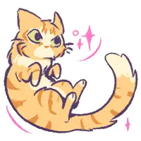 orange fluffy cat