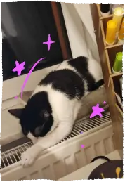 Ramses sleeping on the windowsill, his arms and head on the heater