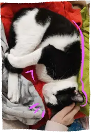 Ramses sleepin in my bed, hugging his own leg